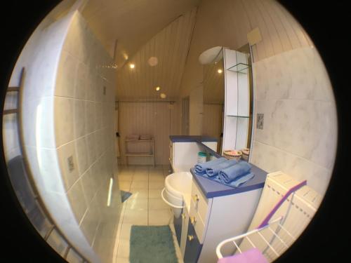 bagno con lavandino, servizi igienici e specchio di Eguisheim village préféré des français grand studio a Eguisheim