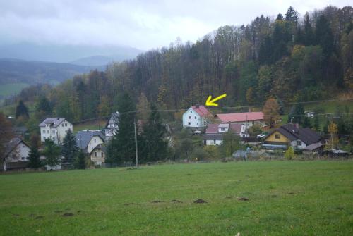 a kite flying in the air over a green field at Apartmán Fydorka in Jeseník