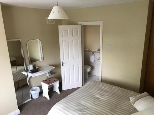 a bedroom with a bed and a sink and a mirror at Derreen Tighue House in Tralee