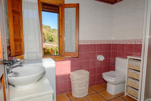 a bathroom with a sink and a toilet at Apartamentos Rurales Balcón Real Senda del Oso in Campiello