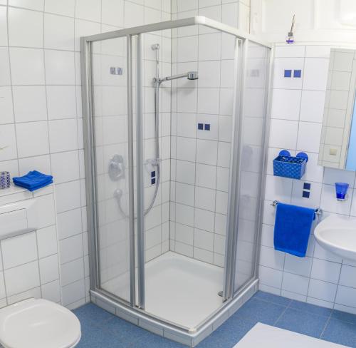 een badkamer met een douche, een toilet en een wastafel bij Ruhiges und zentral gelegenes Apartment in Rosenfeld