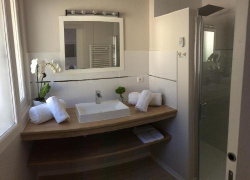 サン・テミリオンにあるL'appart des Jacobinsのバスルーム(洗面台、鏡付)