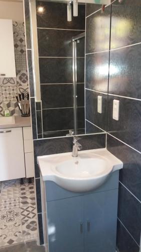 une salle de bain avec un lavabo et un miroir dans l'établissement t2 Europa, à Ax-les-Thermes