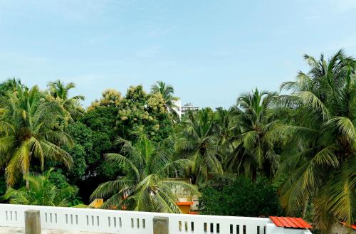 a group of palm trees behind a white fence at Orionis Kannur in Kannur