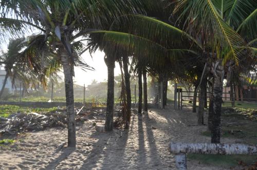 a row of palm trees on a sandy beach at 3 Suítes, praia e piscina in Itacimirim