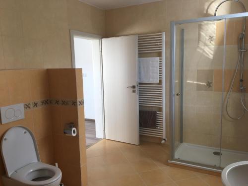 a bathroom with a toilet and a shower and a sink at Privat Michalek in Terchová