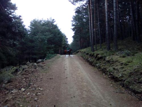 a couple of people walking down a dirt road at Los Arroyos in San Martín de la Vega del Alberche
