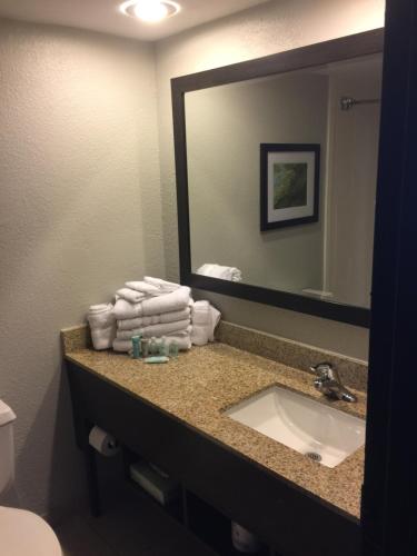 a bathroom with a sink and a mirror and towels at Wyndham Garden Hotel - Jacksonville in Jacksonville