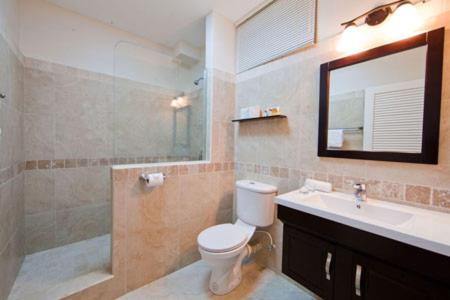 a bathroom with a toilet and a sink and a mirror at Blue Waters Inn in Speyside