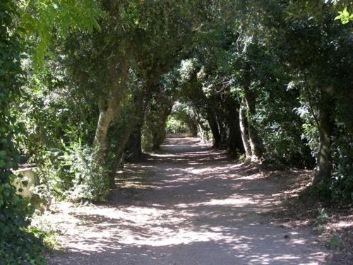 Φυσικό τοπίο κοντά σε αυτό το διαμέρισμα