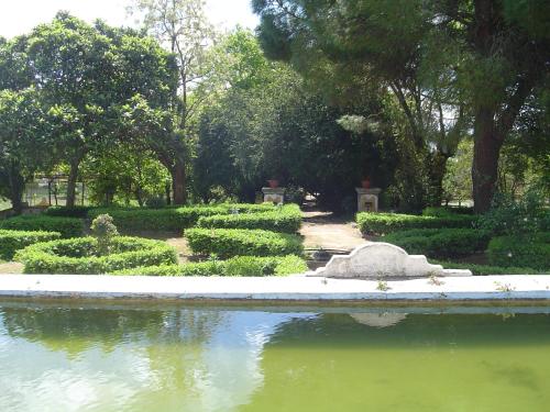 Φυσικό τοπίο κοντά σε αυτό το διαμέρισμα