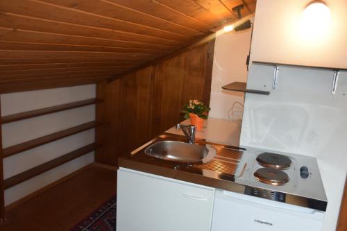 Kuchyň nebo kuchyňský kout v ubytování Apartement Haus Johanna
