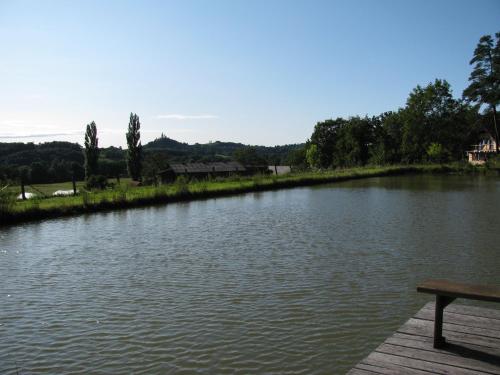 a view of a river with a bench next to it at Bauernhof Flucher-Plaschg in Straden