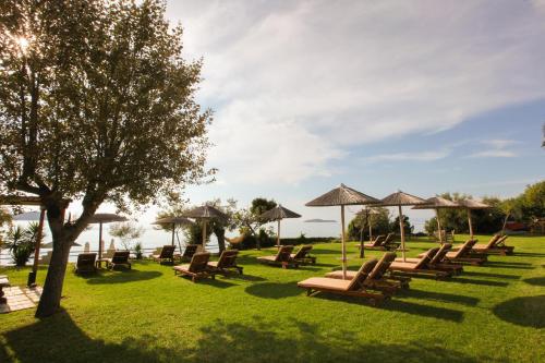 a group of lounge chairs and umbrellas on a lawn at Angeliki Beach Hotel in Megali Ammos