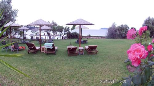 a group of chairs and umbrellas on a lawn at Angeliki Beach Hotel in Megali Ammos