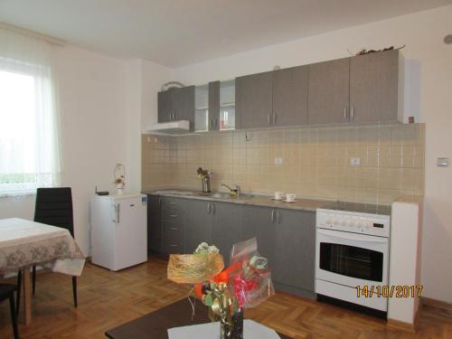 eine Küche mit grauen Schränken und einem weißen Herd mit Backofen in der Unterkunft Debora Apartment in Vrnjačka Banja