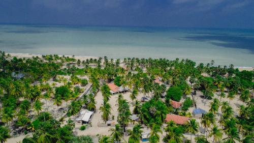an aerial view of a beach with palm trees at Sandy Edge in Kalpitiya