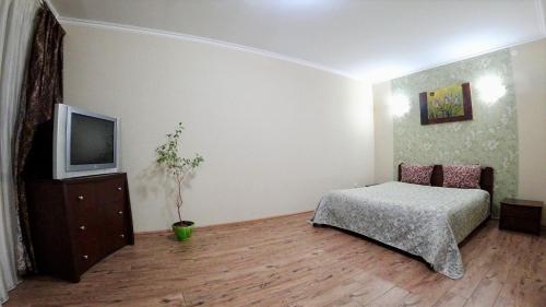 a bedroom with a bed and a tv in it at Myru Apartment in Chernihiv