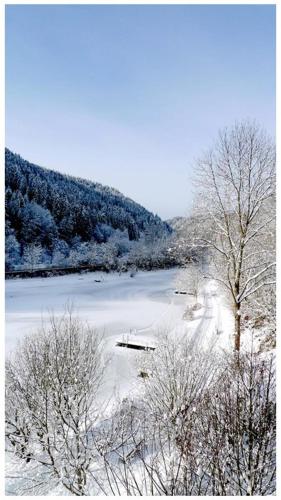 a snow covered field with trees and a body of water at Seegasthof Breineder - Familien & Seminarhotel in Mönichwald