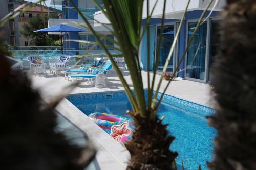 a pool with a palm tree in front of a house at Villa Blue Panorama in Budva