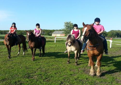 a group of people riding horses in a field at Ferienzimmervermietung Reitferien in Skærbæk