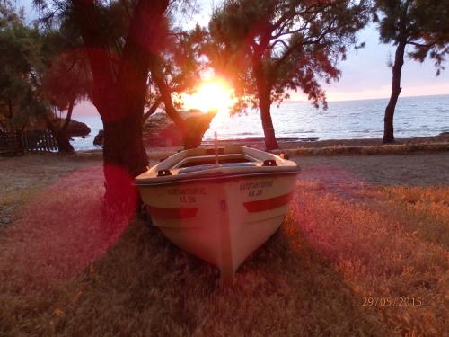 a boat sitting on the grass next to a tree at Ravdoucha Beach Studios in Ravdhoúkha