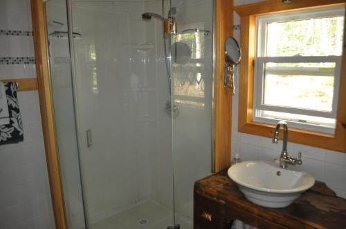 a bathroom with a shower and a sink at The Sleeping Moose in Birch Plain