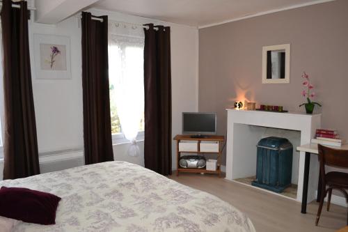 sypialnia z łóżkiem, telewizorem i kominkiem w obiekcie Gîte du Port w mieście Châteauneuf-sur-Loire