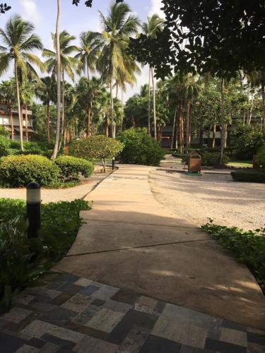 a walking path in a park with palm trees at Apartment Balcones Del Atlantico in Las Terrenas