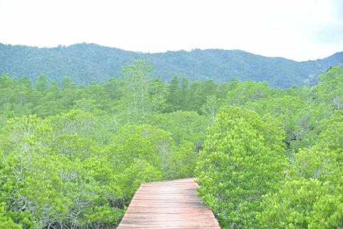 a wooden bridge in the middle of a forest at Baan Chan Lay Koh Chang in Ko Chang