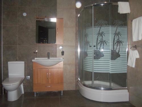 a bathroom with a shower and a sink and a toilet at Palm Beach Hotel in Anaklia