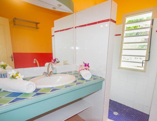 a bathroom with a sink and a mirror at Habitation Capado in Deshaies