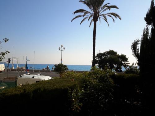 a palm tree and a boat on the beach at Nice Promenade Apartment in Nice