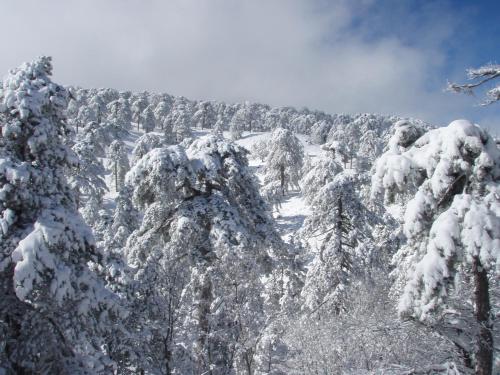 Jubilee Hotel Troodos during the winter