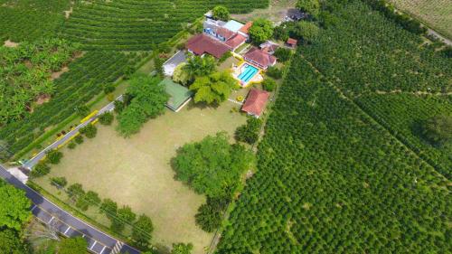 an aerial view of a house in a field at Hotel La Coqueta in Montenegro