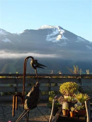 a bird sitting on a bench next to some plants at Bergpension Zinting in Brixen im Thale