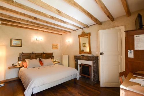 une chambre avec un lit et une cheminée dans l'établissement La Barillerie, à La Flèche