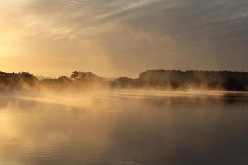 a misty lake with the sun setting in the background at Hotel van Dijk in Kampen