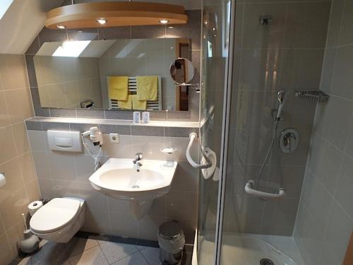 a bathroom with a toilet and a sink and a shower at Achkarrer Krone in Achkarren