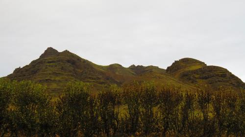 a group of mountains with trees in the foreground at Guesthouse Kálfafellsstadur in Kálfafellsstaður