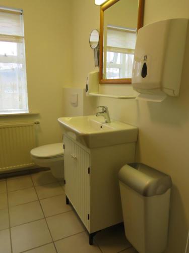 a bathroom with a sink and a toilet and a mirror at Guesthouse Kálfafellsstadur in Kálfafellsstaður
