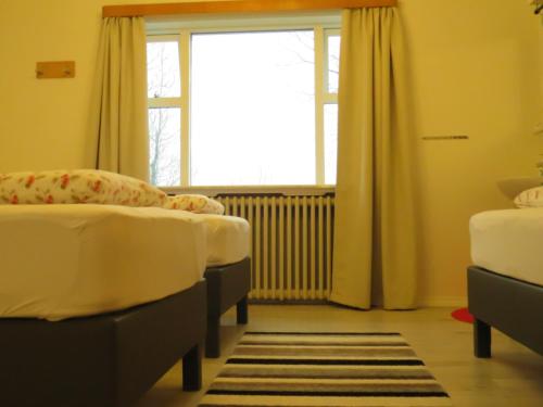two beds in a room with a window at Guesthouse Kálfafellsstadur in Kálfafellsstaður