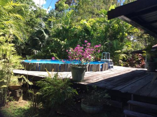 Gallery image of Bamboe in Meerzorg