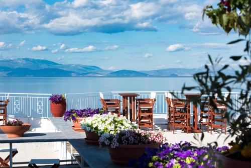 a row of chairs and flowers on a table at Spacious apartment on the beachfront in Melission