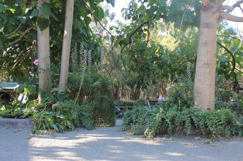 Avoca Park – Photos 3