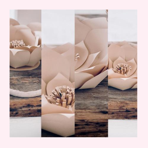 asexual rendering of a paper flower in different views at Agriturismo Il Riccio in Monticchio
