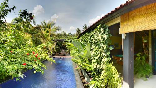 a swimming pool in front of a house with plants at Villa Latebra in Lovina