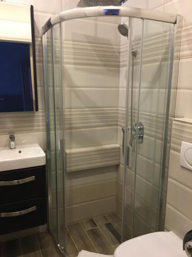 a bathroom with a shower with a toilet and a sink at Mosoly Szallashely in Szeged