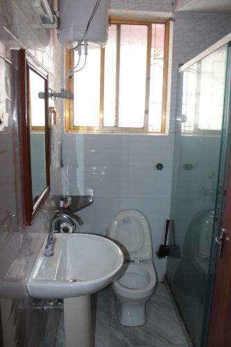 a bathroom with a sink and a toilet at Service Apartments, Park Street, Calcutta in Kolkata