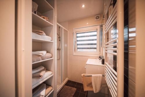 a bathroom with a toilet and a sink and towels at Goitzsche Resort in Bitterfeld